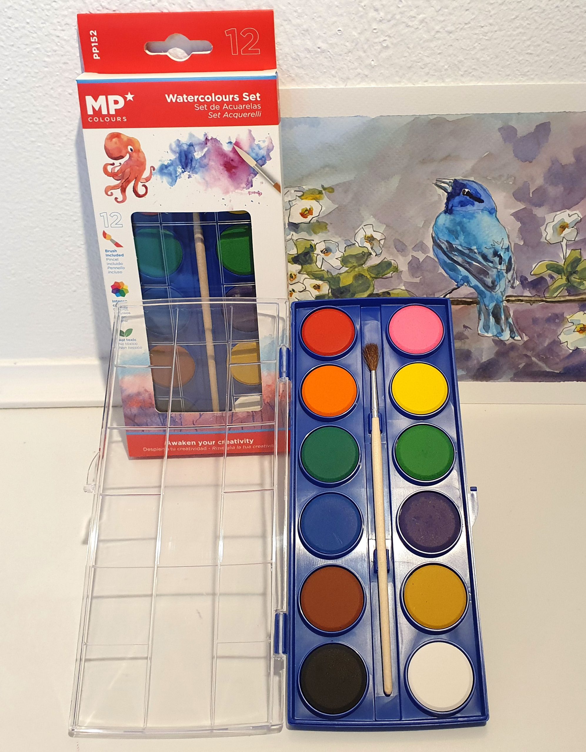 pts 17 – Acuarelas para niños 12 colores y pincel - Pincel