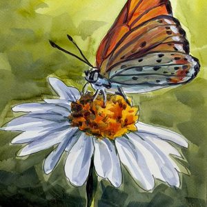 A29 - Acuarela Juan Mieres